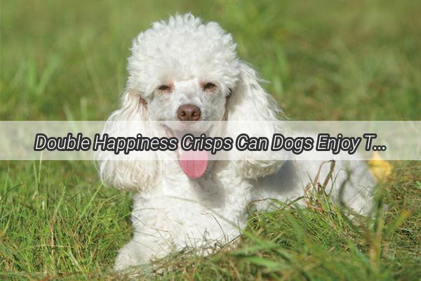 Double Happiness Crisps Can Dogs Enjoy This Traditional Treat Too